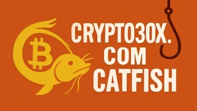 Crypto30x.com Catfish